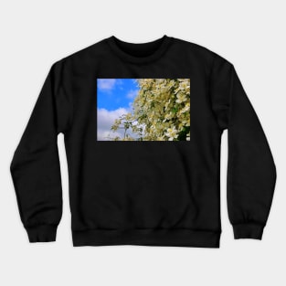 The Flower Wall Crewneck Sweatshirt